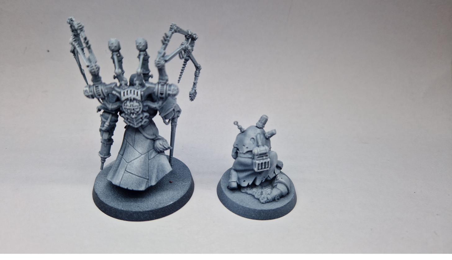 Fabius Bile rear